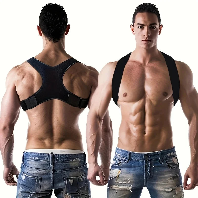Back Support Belt